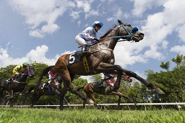 horse racing gdbet333